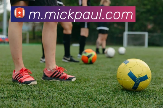 乐鱼平台APP 封面图